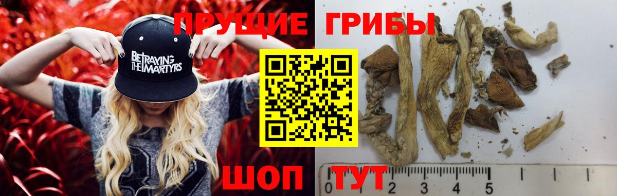 дарнет шоп  Галлюциногенные грибы мухоморы  Вход с VPN  Полысаево 